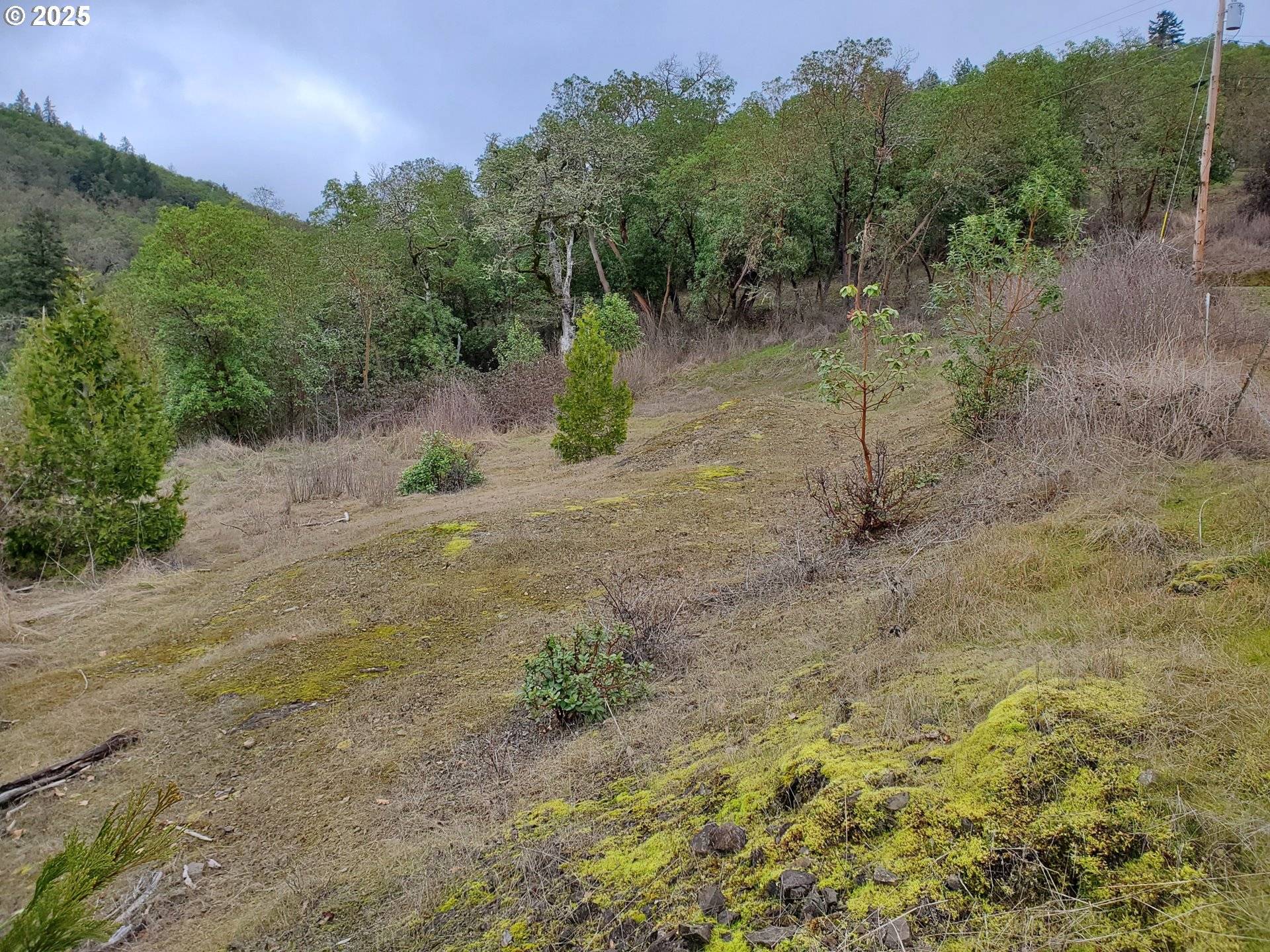 Myrtle Creek, OR 97457,320 HORIZON LN