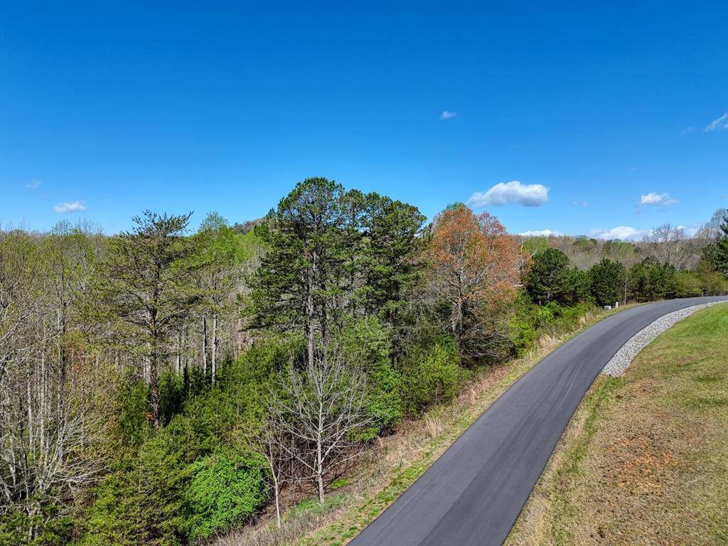 Blairsville, GA 30512,Lot 44 Owen Vista