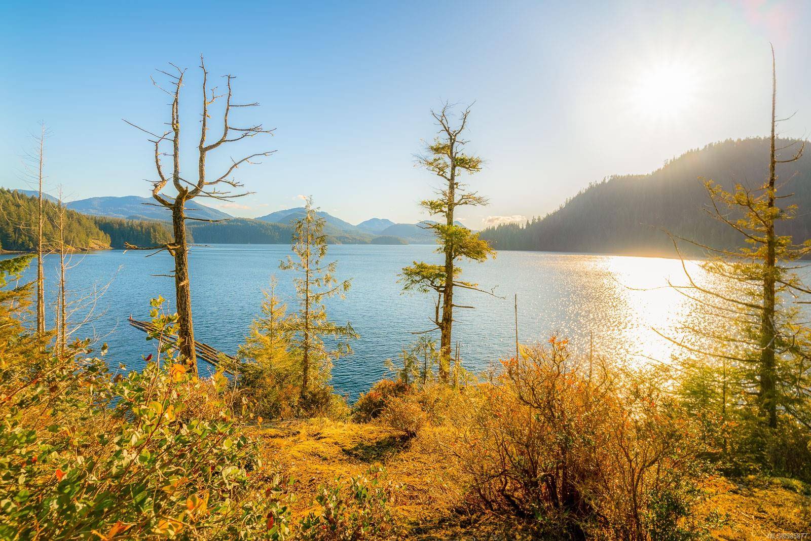 Port Alberni, BC V0R 2B0,Lot 0 Cheeyah Island