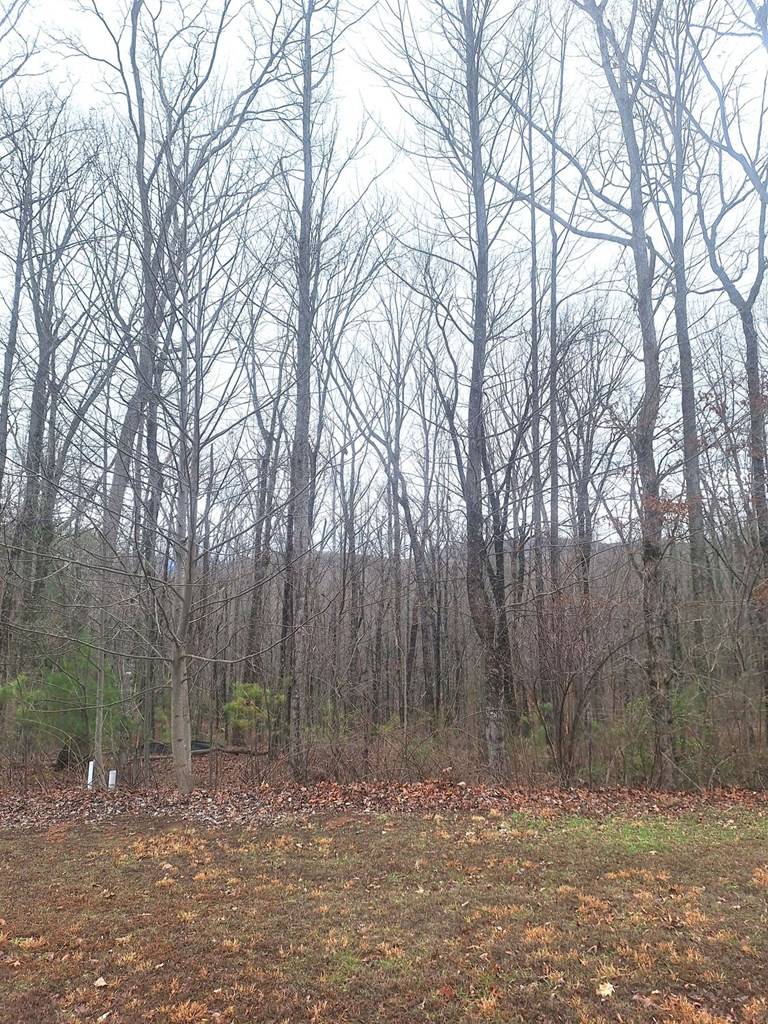 Ellijay, GA 30540,Lot 158 Trailwood Dr-Lt 158