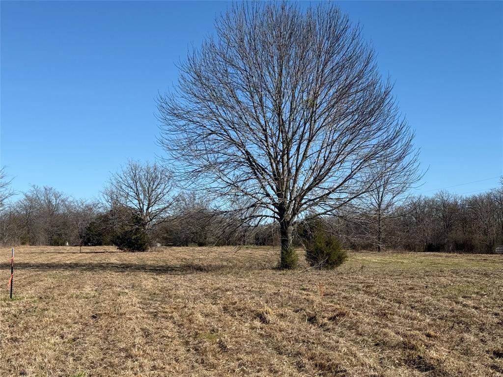 Scurry, TX 75158,Lot 1 N 2nd Street