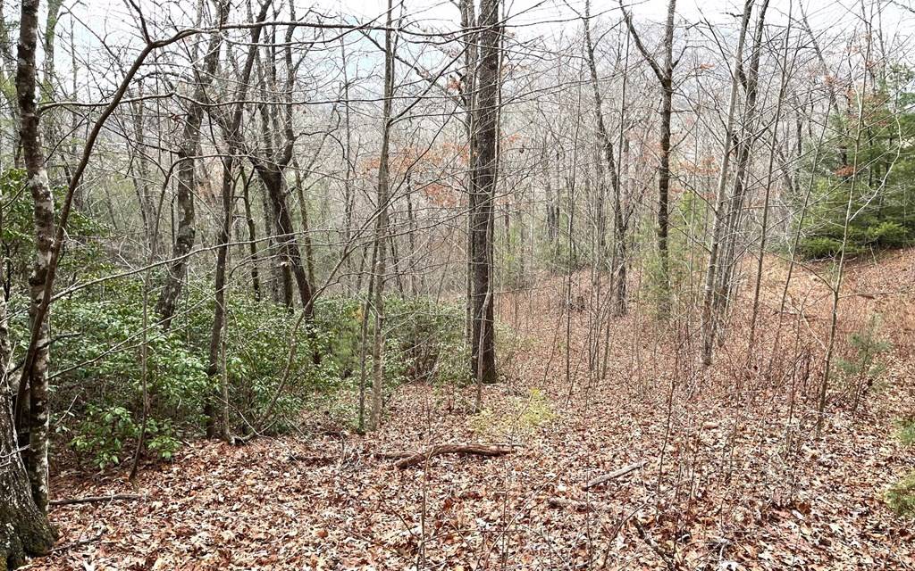 Hiawassee, GA 30546,Lot 6 Tantrough Farms