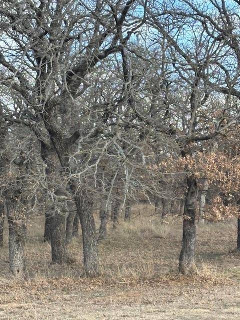 Lipan, TX 76462,TBD Sugartree Circle