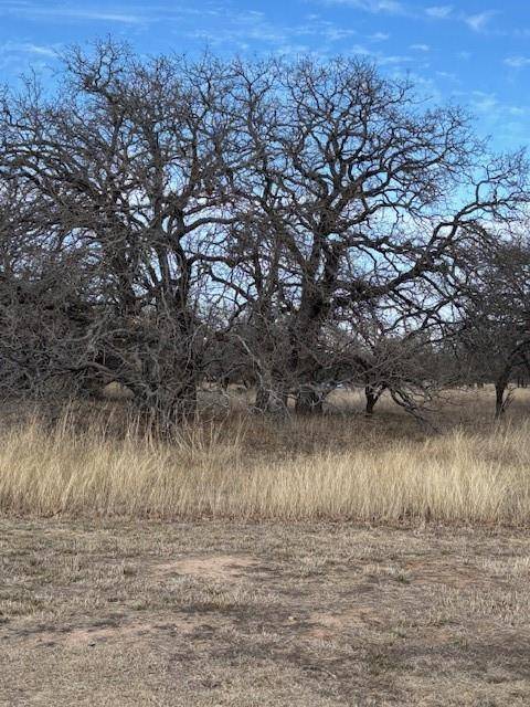 Lipan, TX 76462,TBD Sugartree Circle