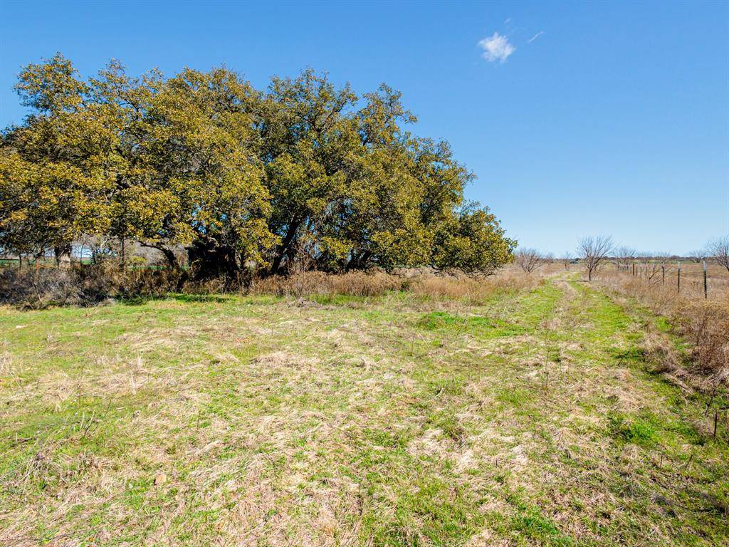 Bangs, TX 76823,TBD County Road 196