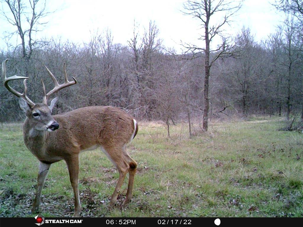 Richland, TX 76681,141 SW County Road 2349