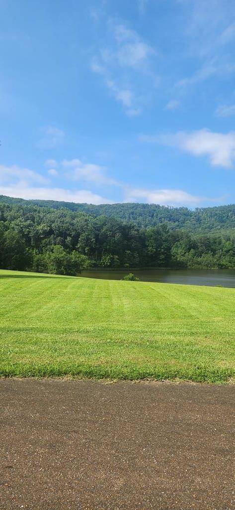 Ellijay, GA 30536,L176 Trailwood Drive