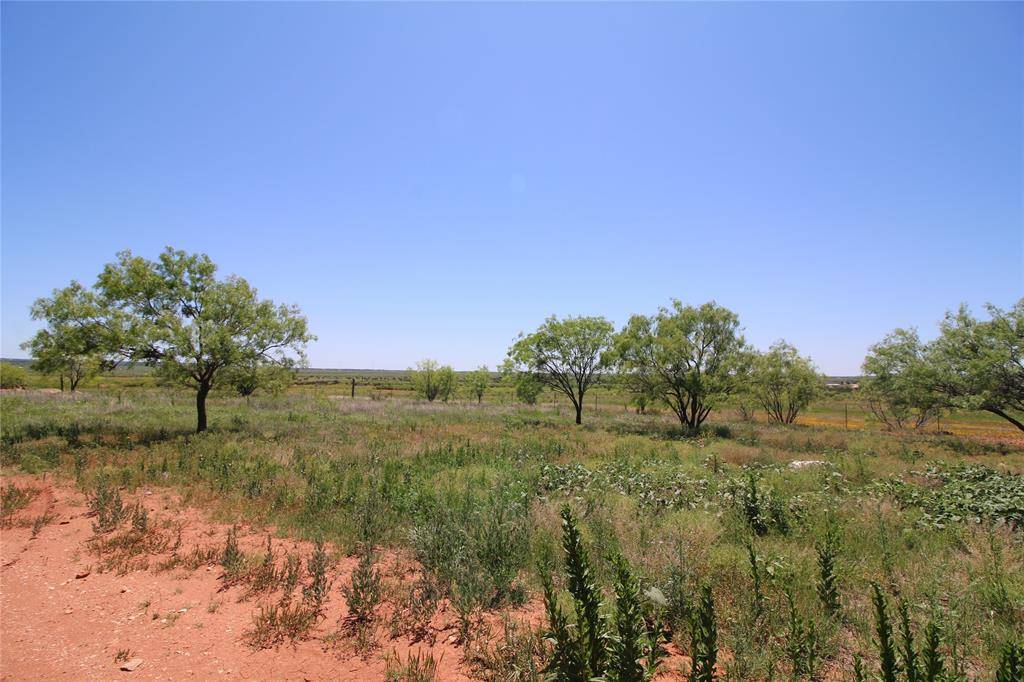 Tuscola, TX 79562,Lot 6 Marshal Trail