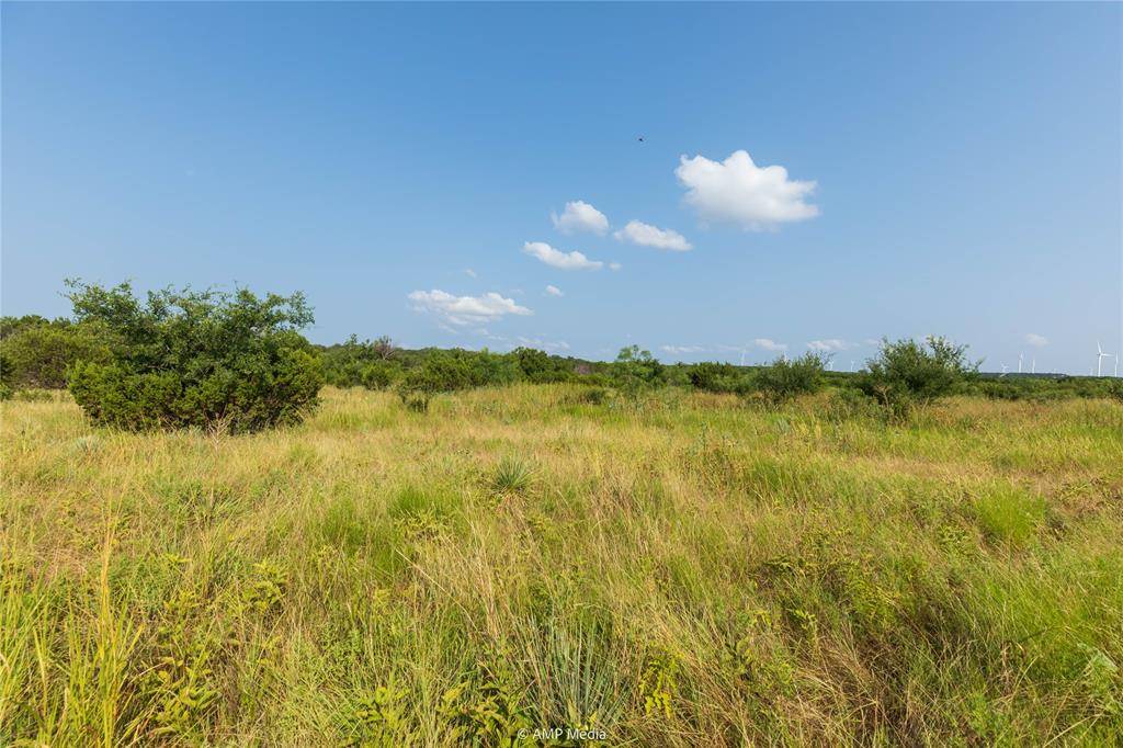 Ovalo, TX 79541,TBD County Road 207