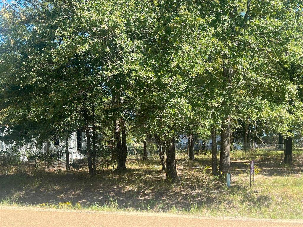 Mabank, TX 75156,lot 707 Cherokee Shores Drive