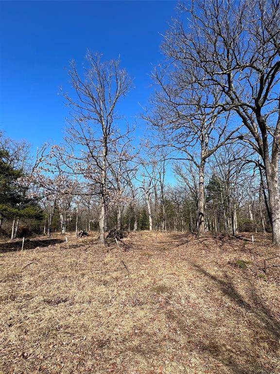 Emory, TX 75440,TBD County Road 3376(Lot 67)