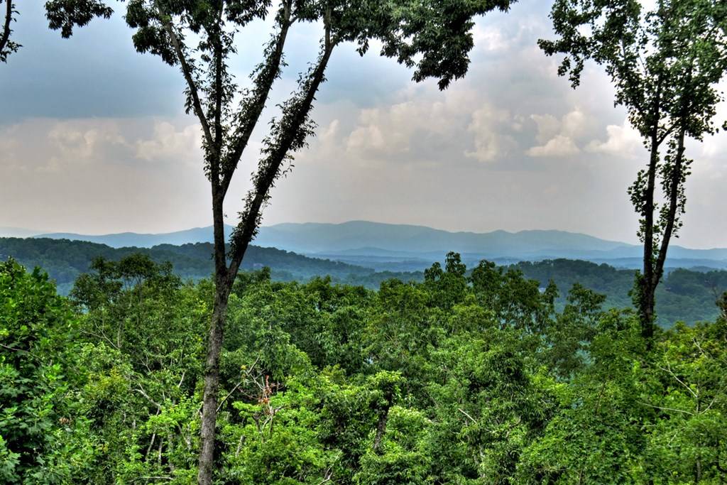 Blue Ridge, GA 30513,415 Green Ridge Trail