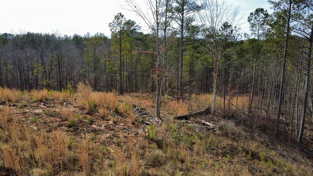 Talking Rock, GA 30175,Lot 171 Shallow Water Way