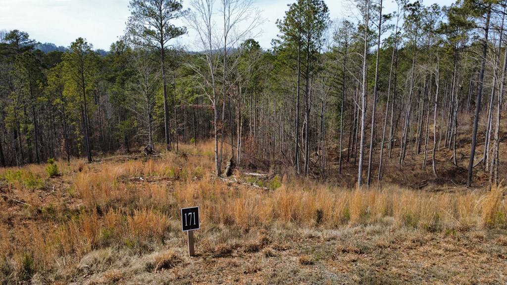 Talking Rock, GA 30175,Lot 171 Shallow Water Way