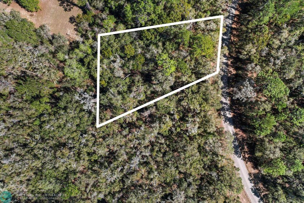 Dunnellon, FL 34434,987 E Odin Dr