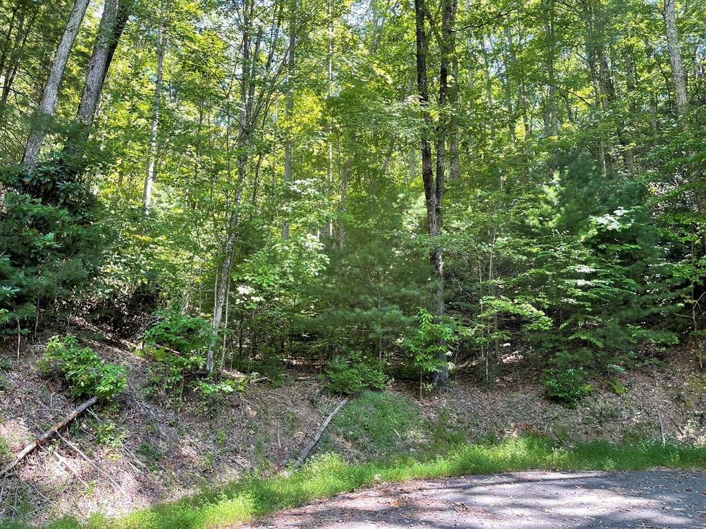 Hayesville, NC 28904,Lot 43 Fires Creek Cove Road