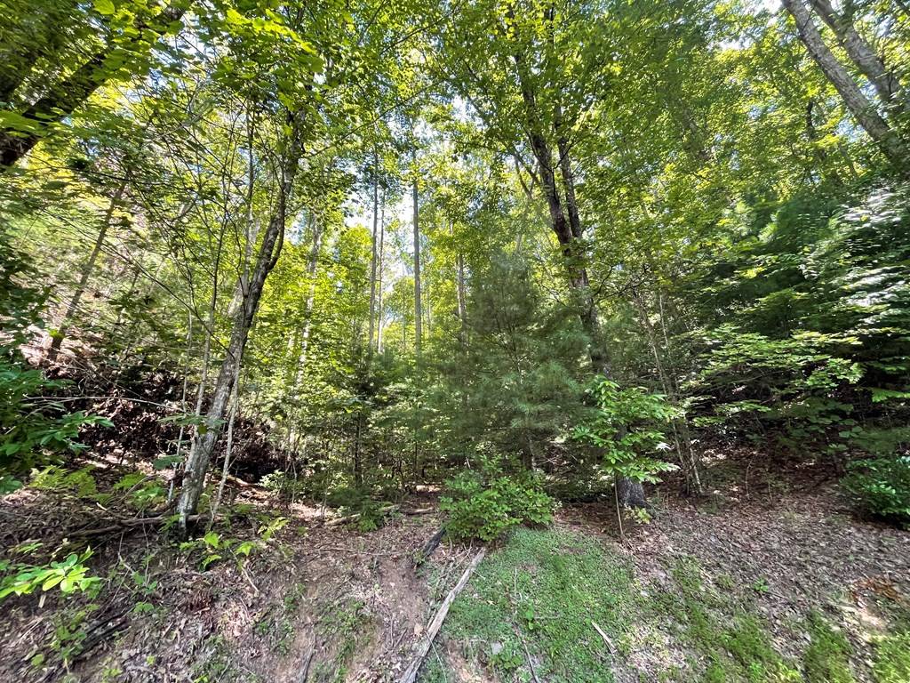 Hayesville, NC 28904,Lot 43 Fires Creek Cove Road