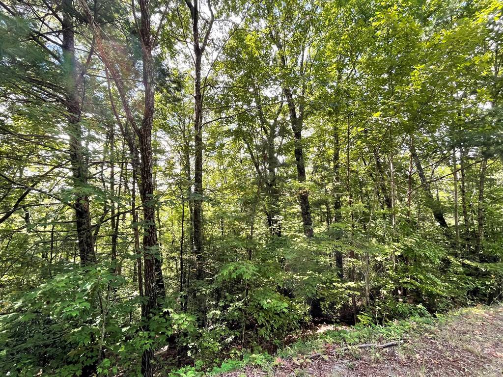 Hayesville, NC 28904,Lot 43 Fires Creek Cove Road