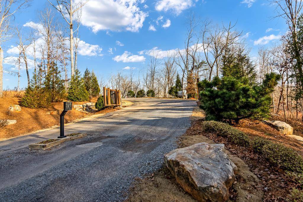 Ellijay, GA 30540,54 River Overlook Drive