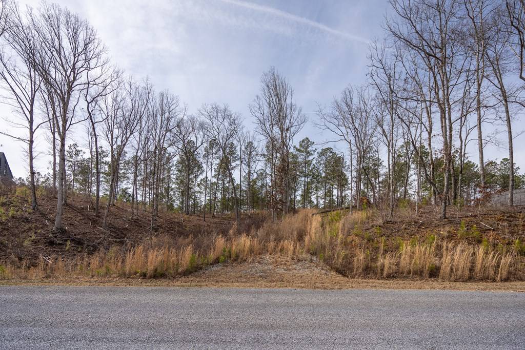 Ellijay, GA 30540,Lot 201 High River Oakwood Lane