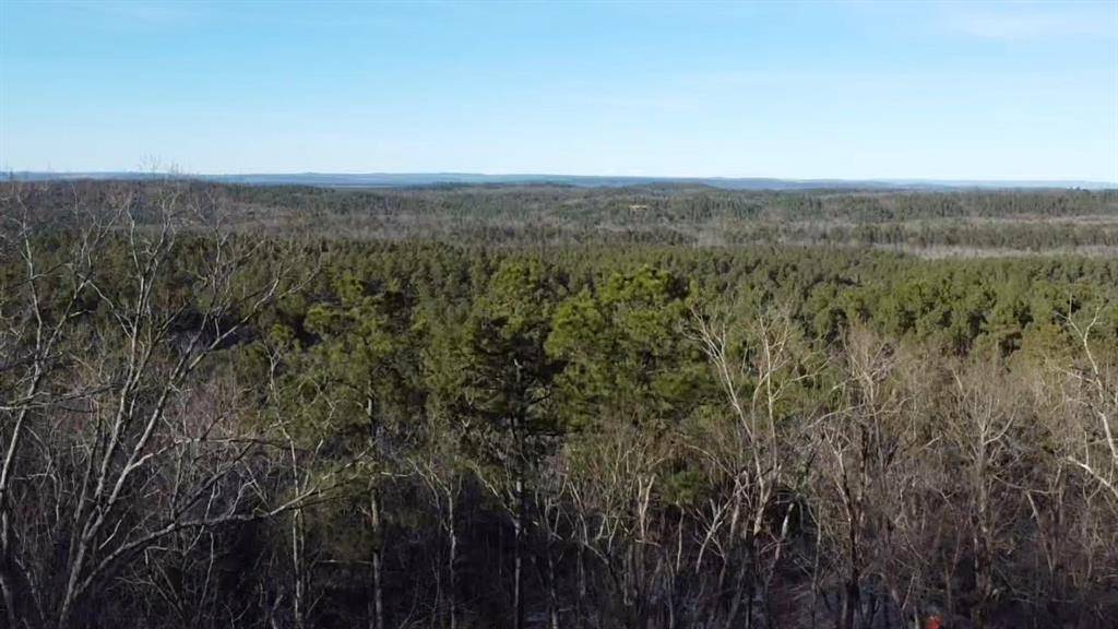 Broken Bow, OK 74728,Lot 31 Moonshiner Springs Trail