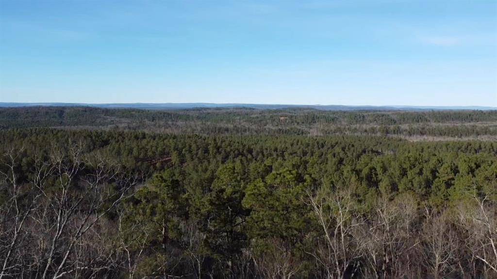 Broken Bow, OK 74728,Lot 31 Moonshiner Springs Trail