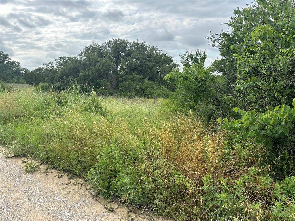 Brownwood, TX 76801,TBD Verde DR