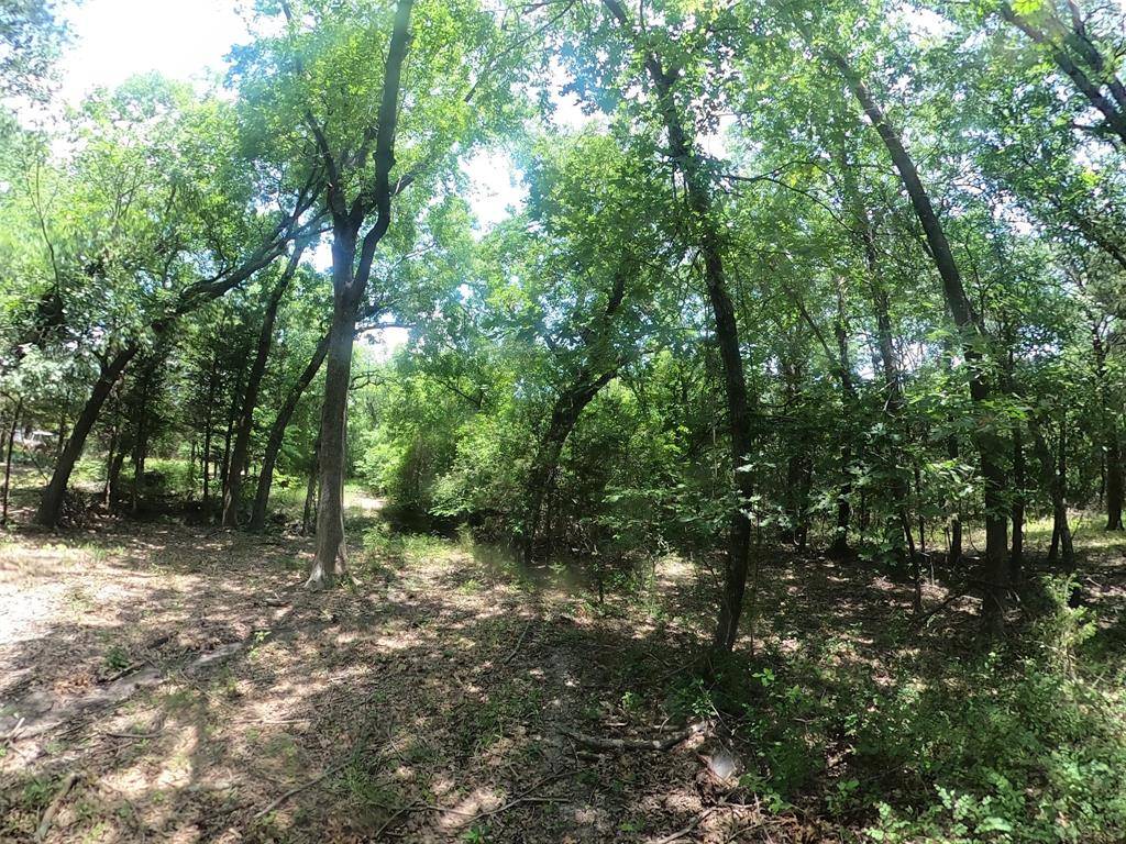 Princeton, TX 75407,00 Cr-561