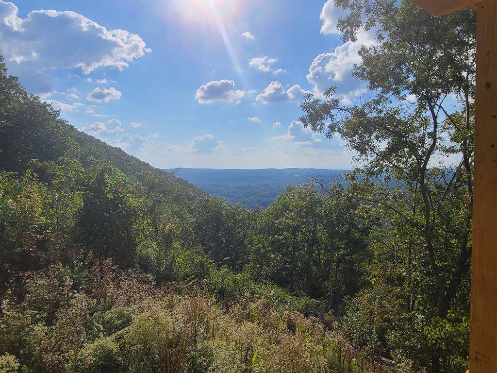 Ellijay, GA 30540,1324 Talona Mountain Road