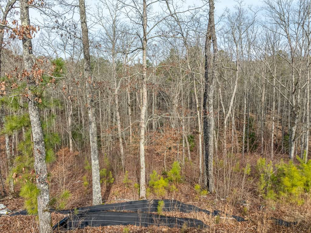 Ellijay, GA 30540,Lot 127 Red Hawk Lane