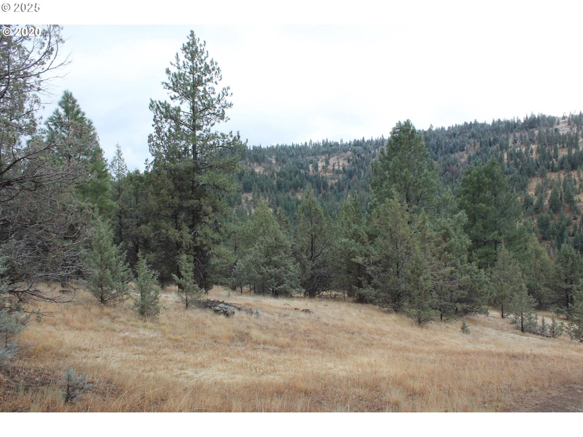 Long Creek, OR 97856,63996 DOE TRAIL LN