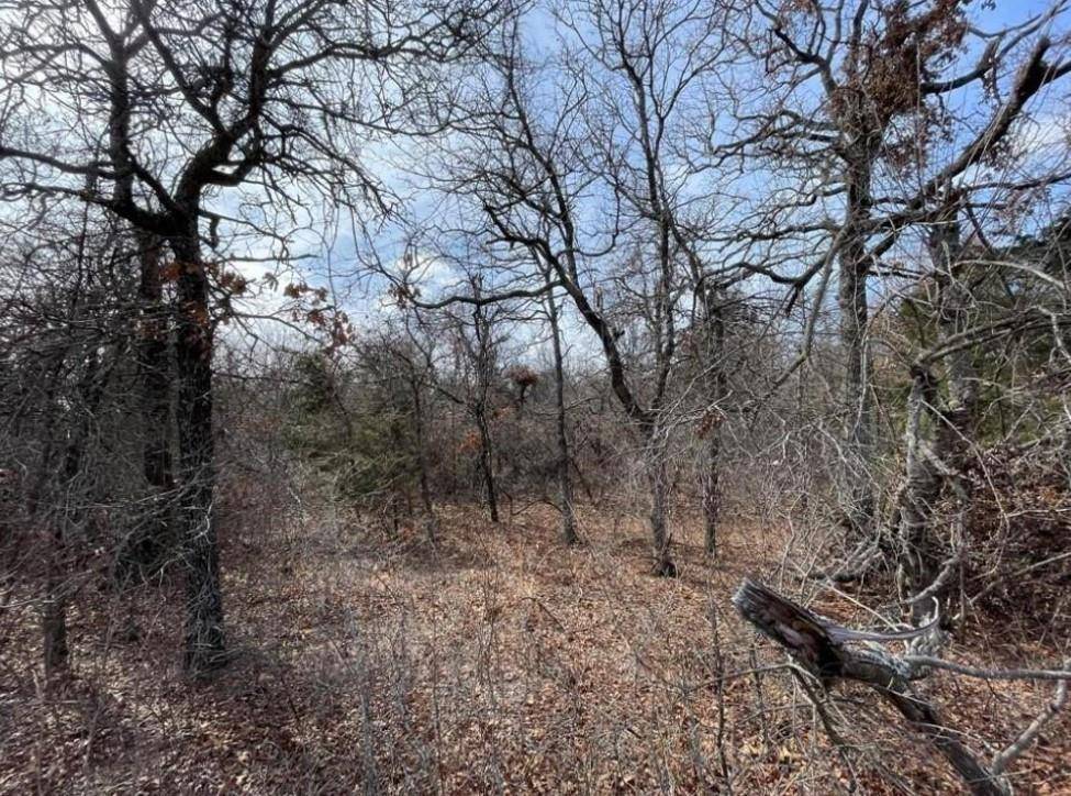 Harrah, OK 73045,0 Lot 14 Toad Road