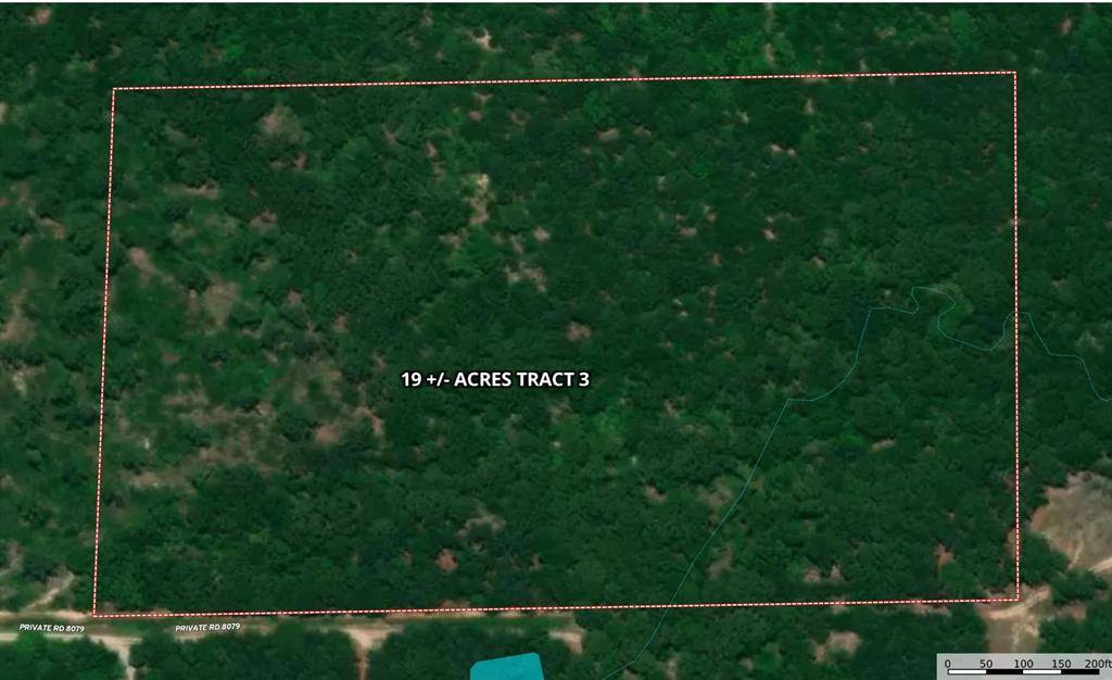 Ben Wheeler, TX 75754,Tract 3 Pvt Rd 8079 Road