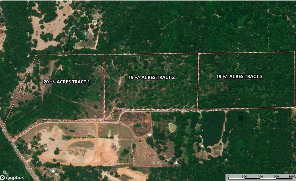 Ben Wheeler, TX 75754,Tract 3 Pvt Rd 8079 Road