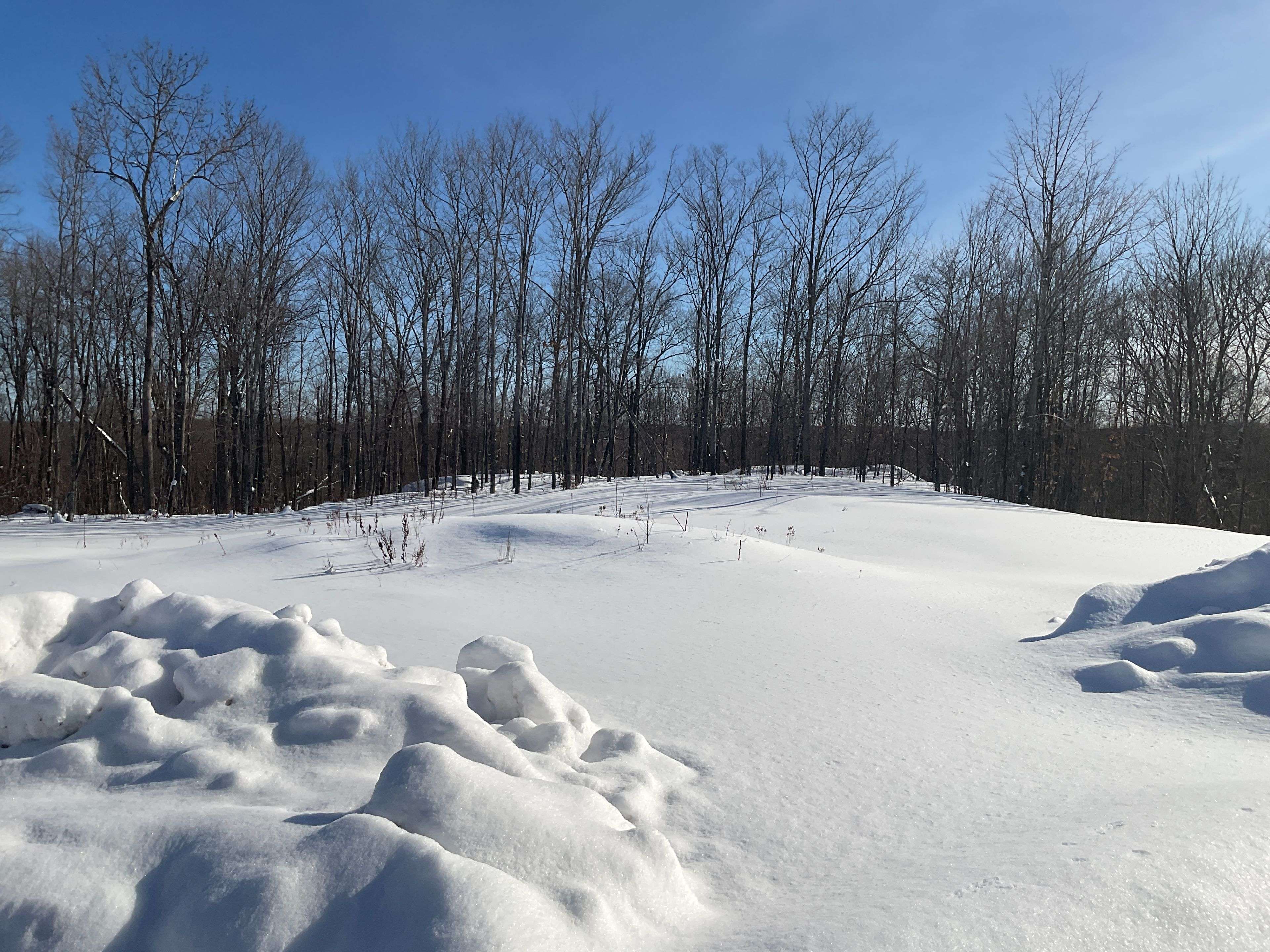 Parry Sound Remote Area, ON P0H 1A0,791 Clear Lake RD