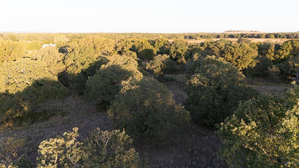 Perrin, TX 76486,TBD Tract 2 E. Hackley Road