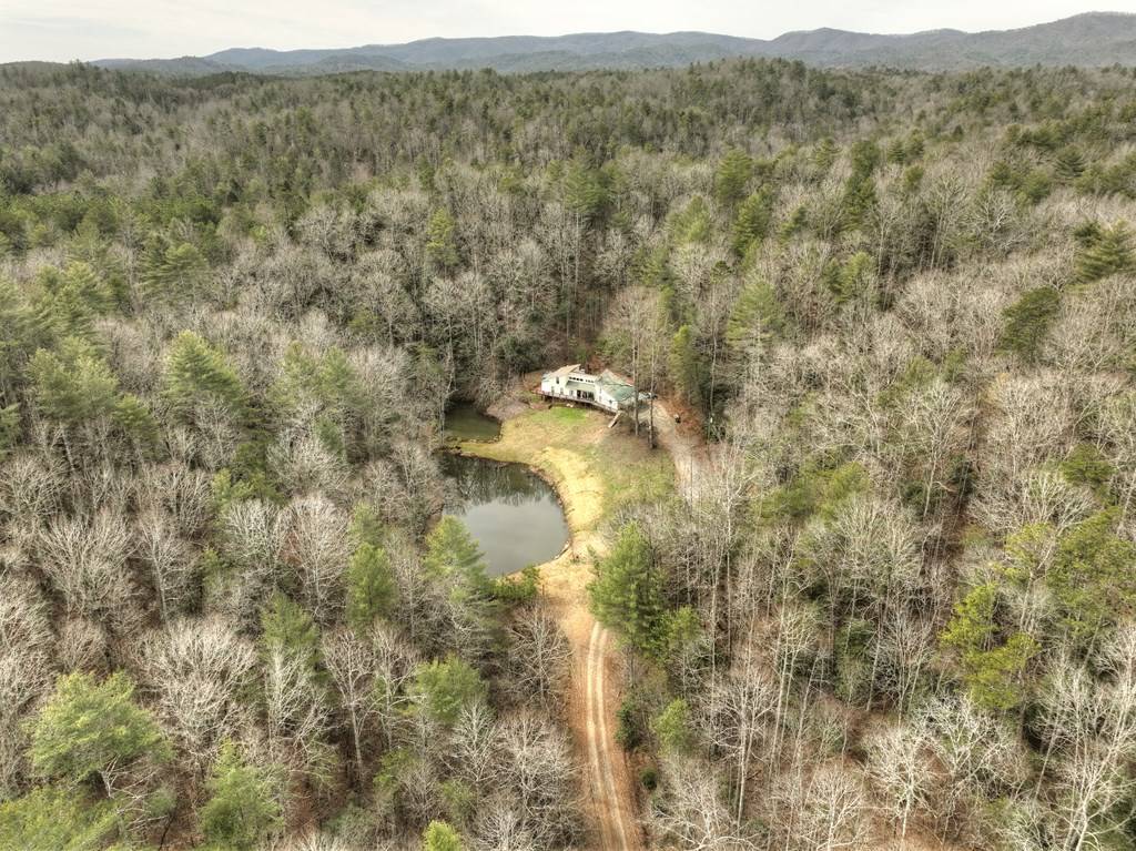 Ellijay, GA 30540,547 Canaan Road