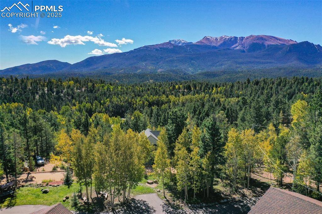 Woodland Park, CO 80863,217 Skyline DR