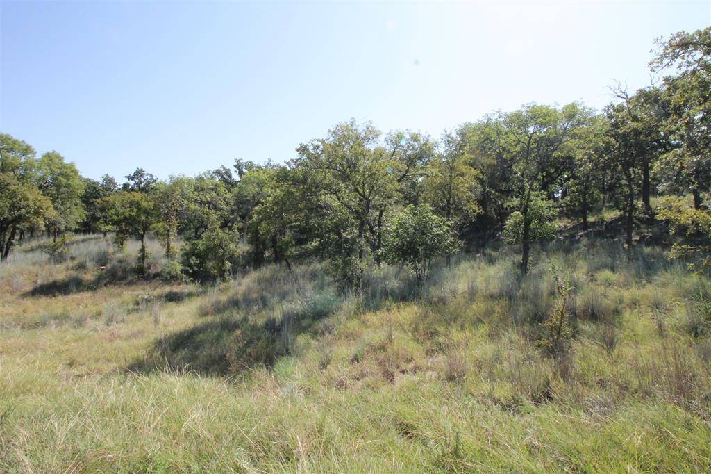 Chico, TX 76431,Lot 265 Ridgeline Drive