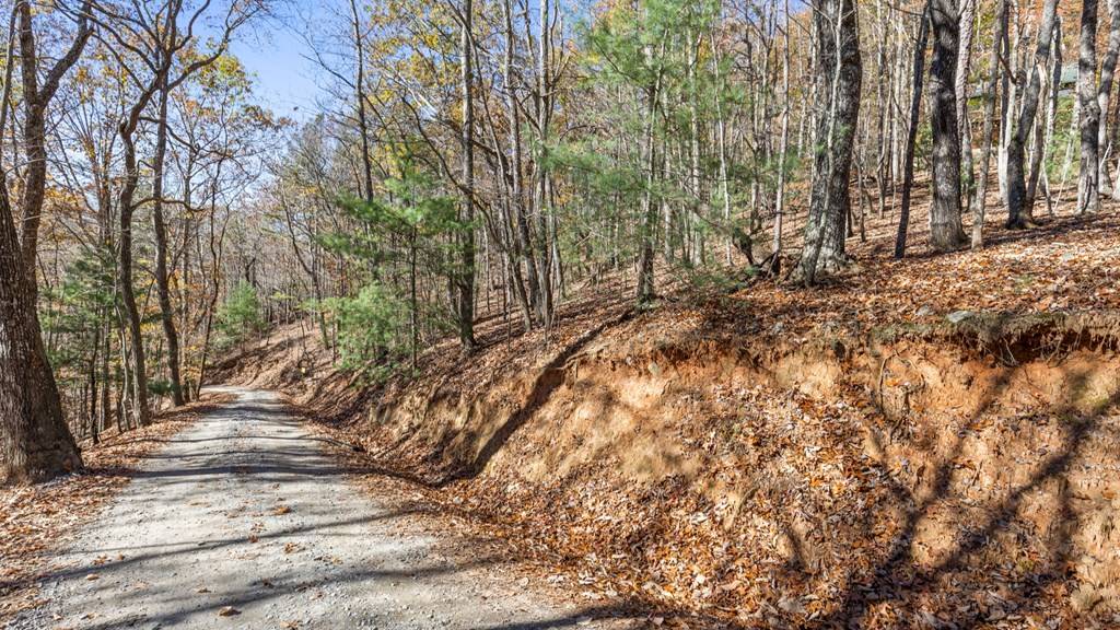 Morganton, GA 30560,LOT 56 Heards Ridge Road