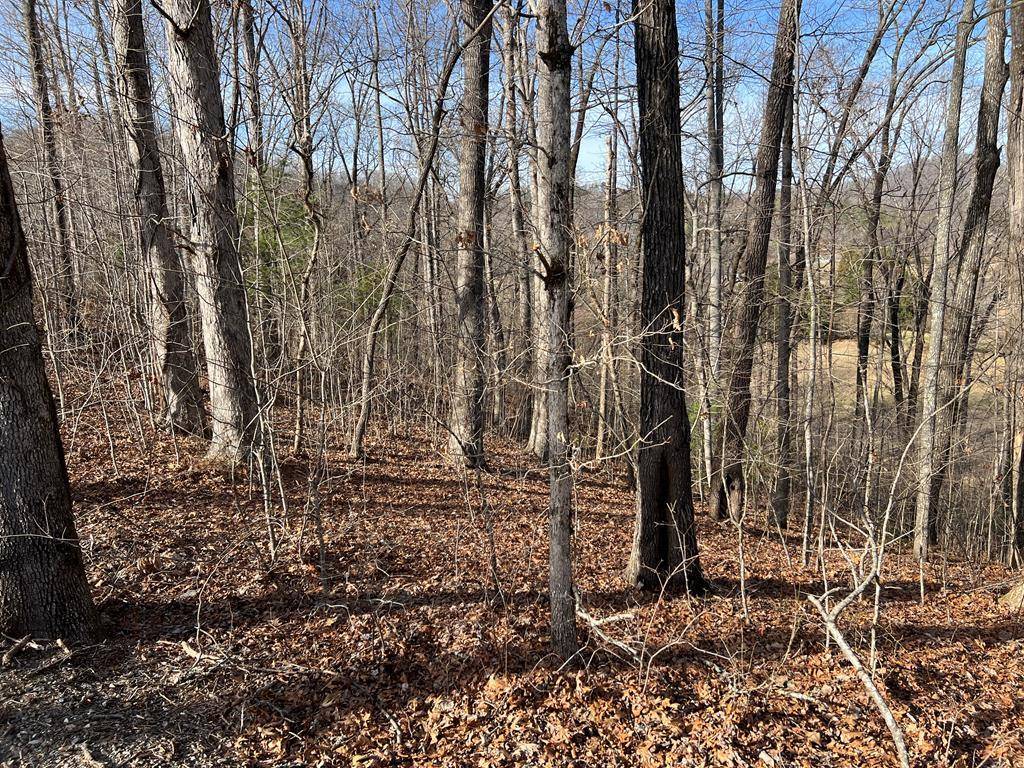 Hayesville, NC 28904,Lot 77A Licklog Ridge