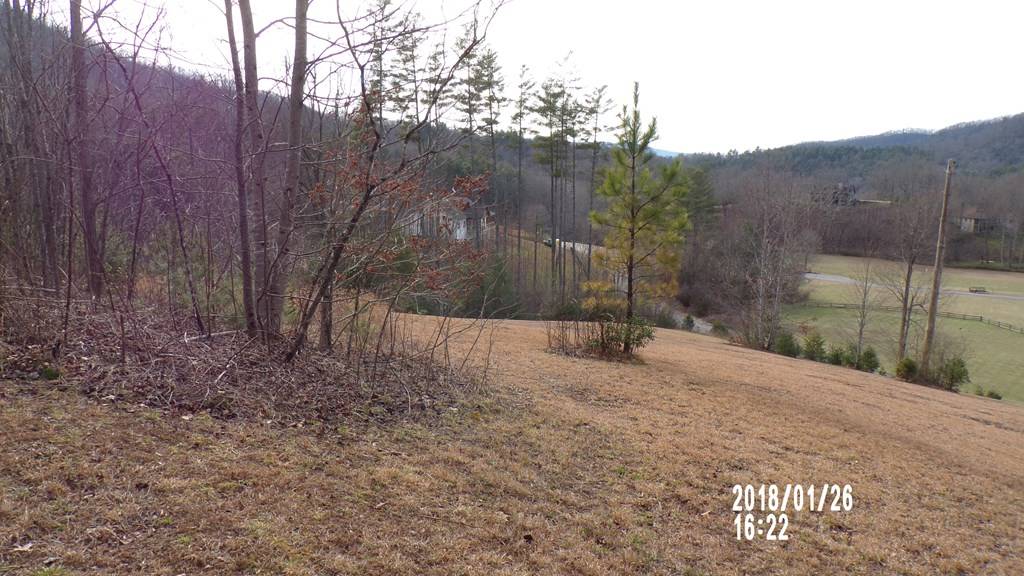 Hiawassee, GA 30546,#24 Rivendell Drive