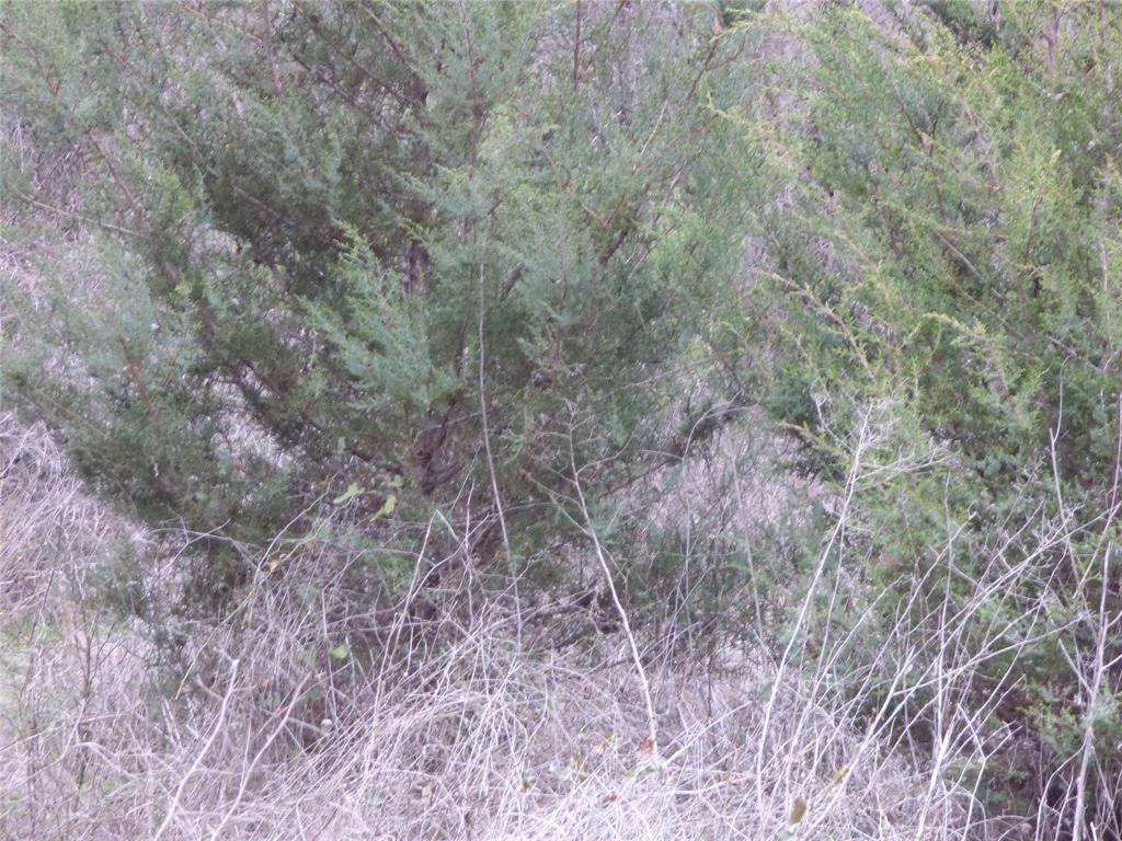 Dublin, TX 76446,TBD County Road 261