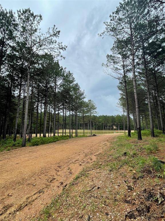 Broken Bow, OK 74728,Upper Vista Ridge Trail  #A