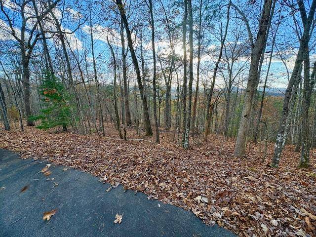 Hayesville, NC 28904,Lot 49 Mission Ridge