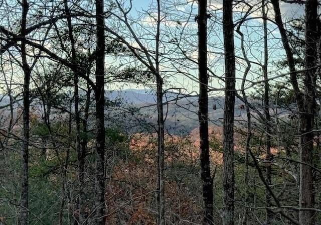 Hayesville, NC 28904,Lot 49 Mission Ridge