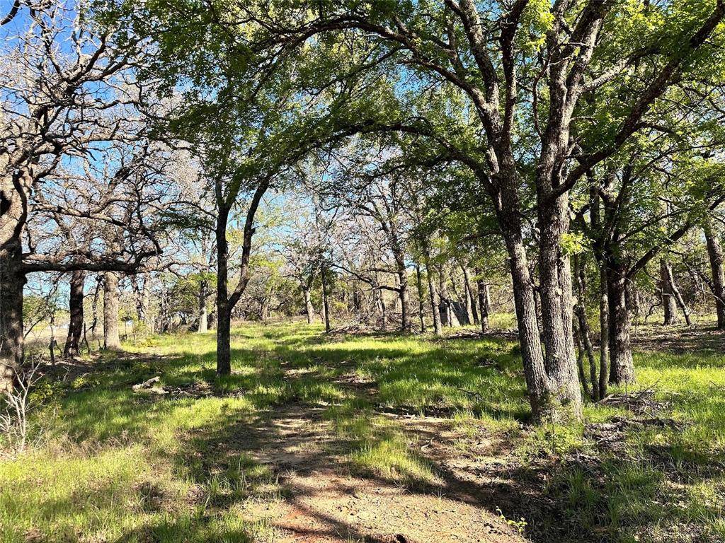 Carlton, TX 76436,Lot 27 PR 1272