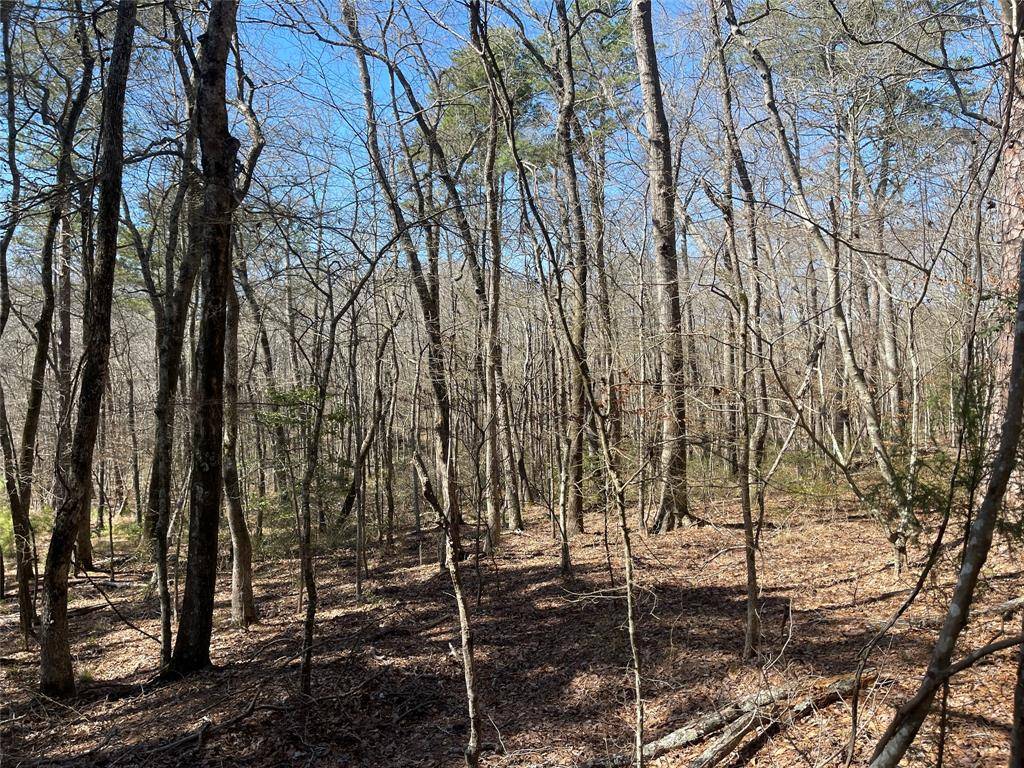 Frankston, TX 75763,TBD An County Road 3194