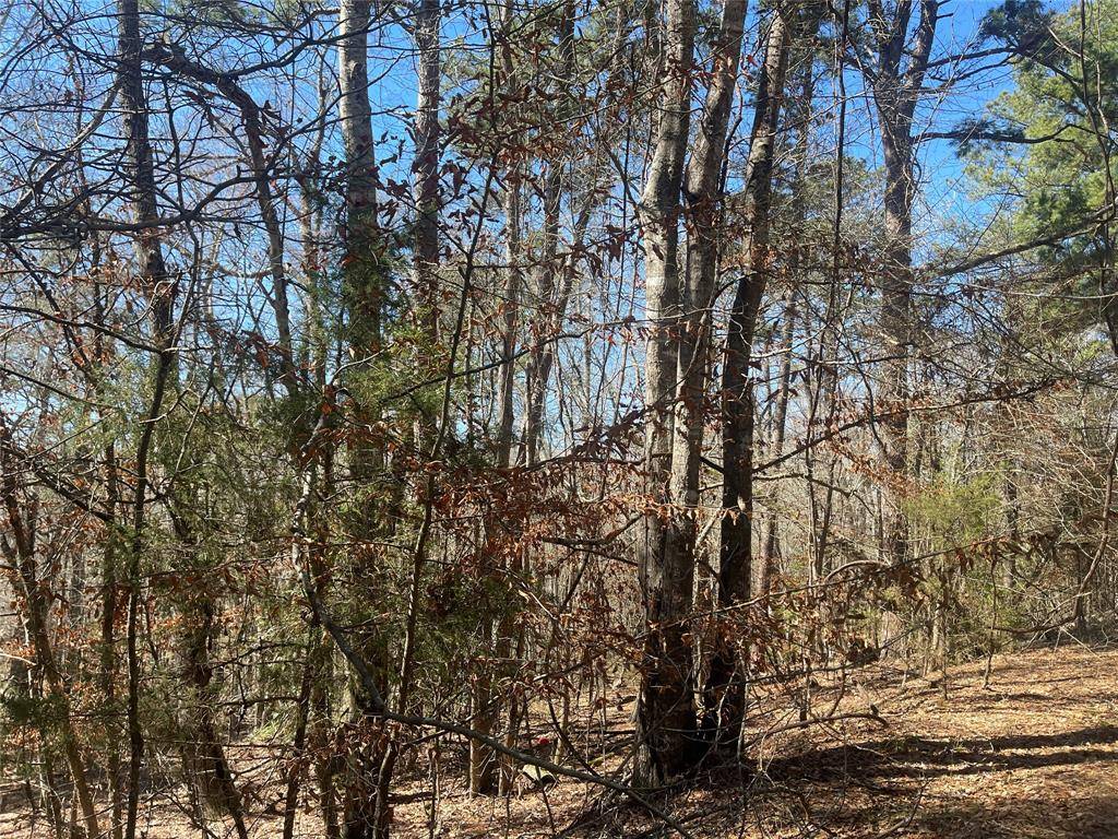 Frankston, TX 75763,TBD An County Road 3194