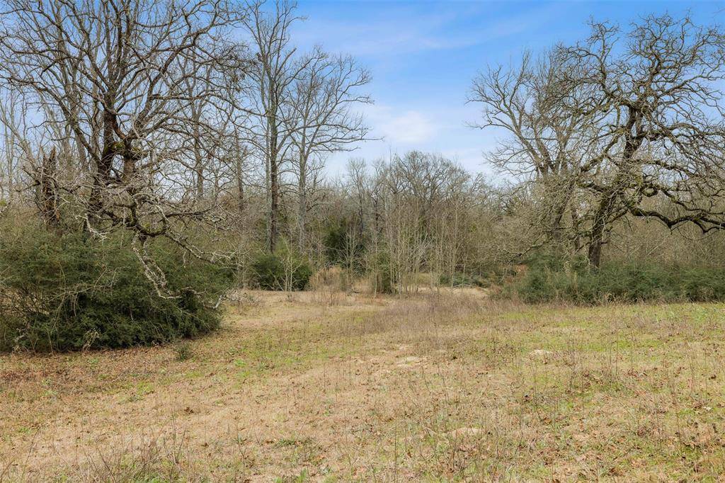 Oakwood, TX 75831,TBD County Road 381